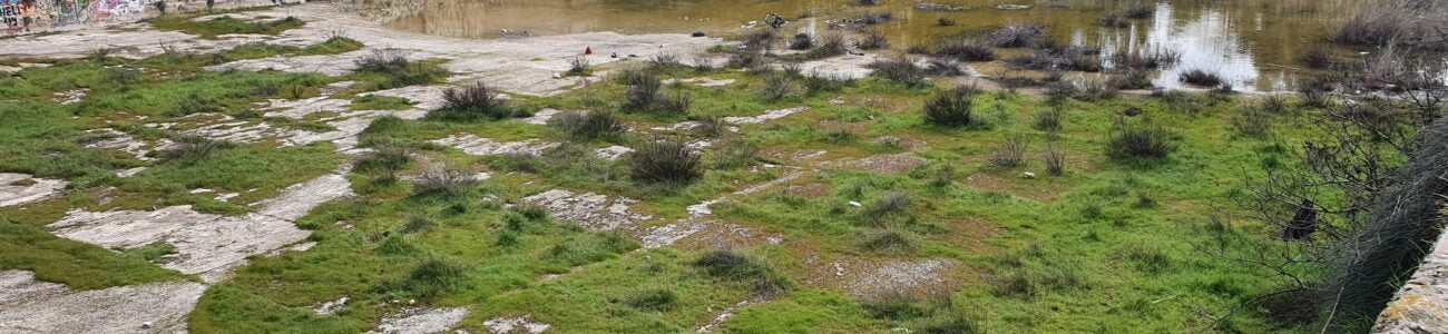 בריכת ממילא בדרך למתיחת פנים – ושווה לצלול להסטוריה שלה