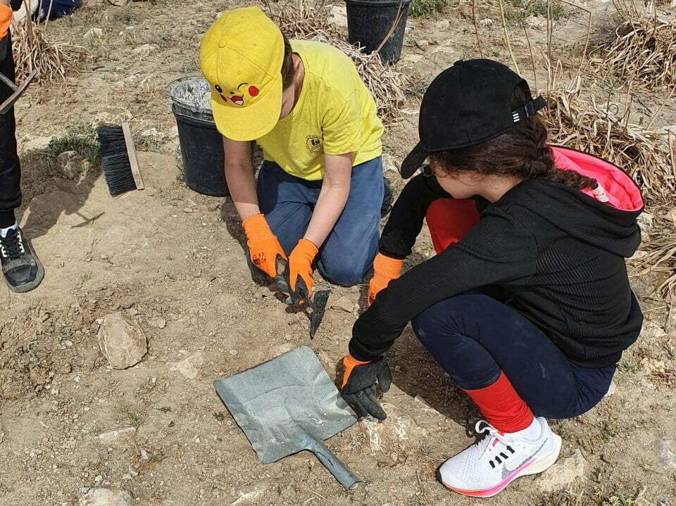 בין ביקור משתתפי חידון התנ"ך במצדה לחפירות חינוכיות: כל מה שקורה בדרום