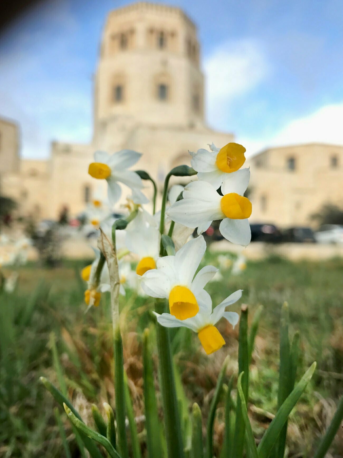 משולחן המנהל וההנהלה